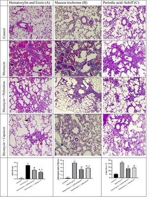 Capsaicin ameliorate pulmonary fibrosis via antioxidant Nrf-2/ PPAR- γ pathway activation and inflammatory TGF-β1/ NF-κB/COX II pathway inhibition